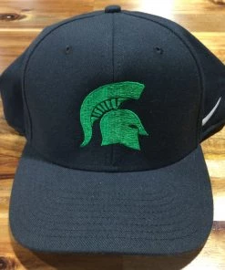 Black/Green Spartan Pride Nike Team Swoosh Flex Hat BASEBALL / SOFTBALL