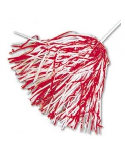 Bobby Edwards COLLEGIATE Game Day Shaker