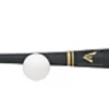 BASEBALL / SOFTBALL Easton Pro Stix 1000 Training Set