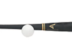 BASEBALL / SOFTBALL Easton Pro Stix 1000 Training Set